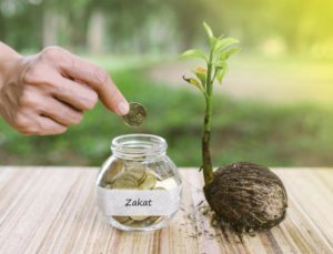 When to Give ZAKAT