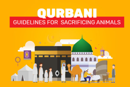 Qurbani Guidelines for Sacrificing an Animal for UK Residents